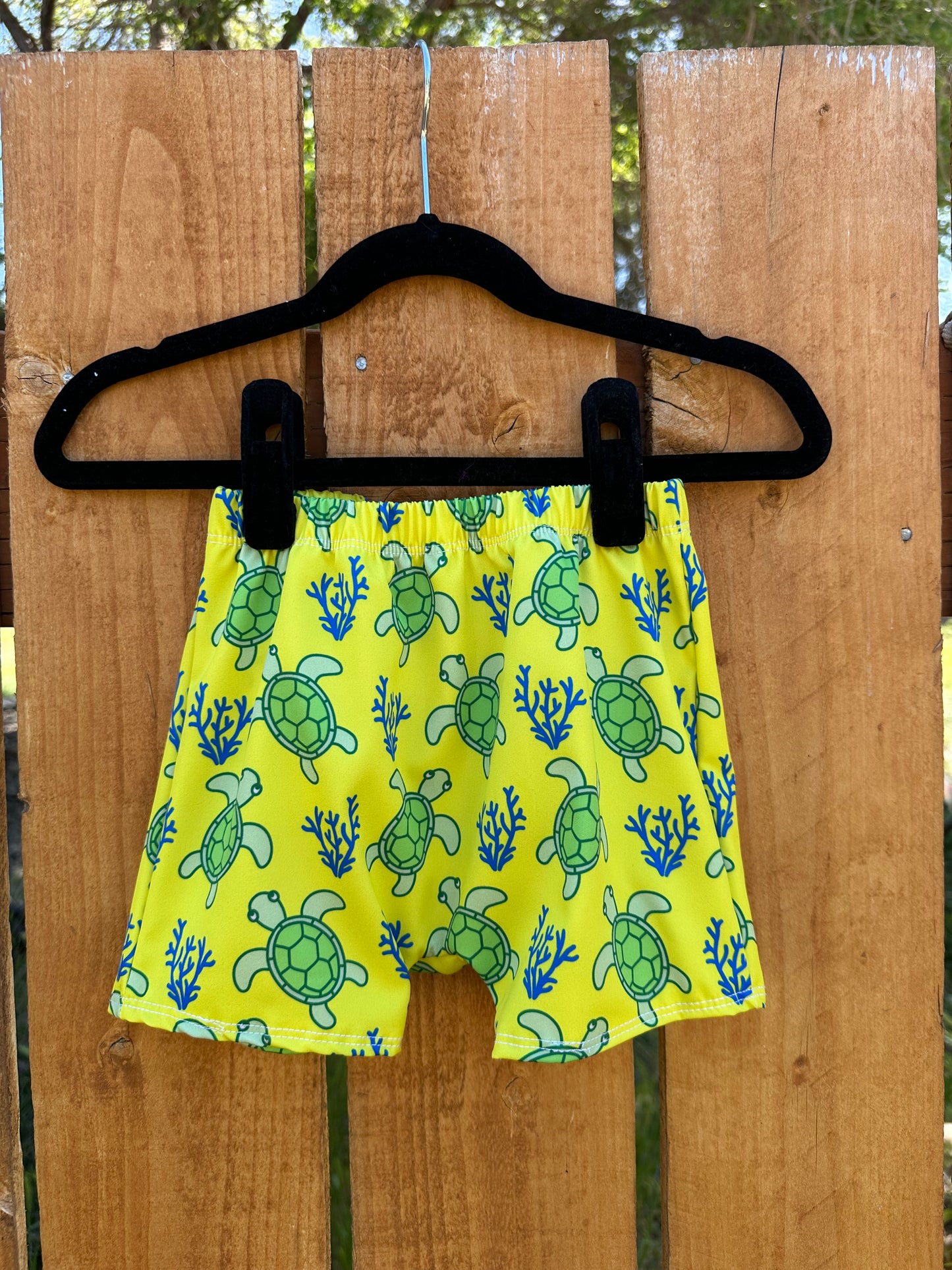 3T Turtle Boardshorts