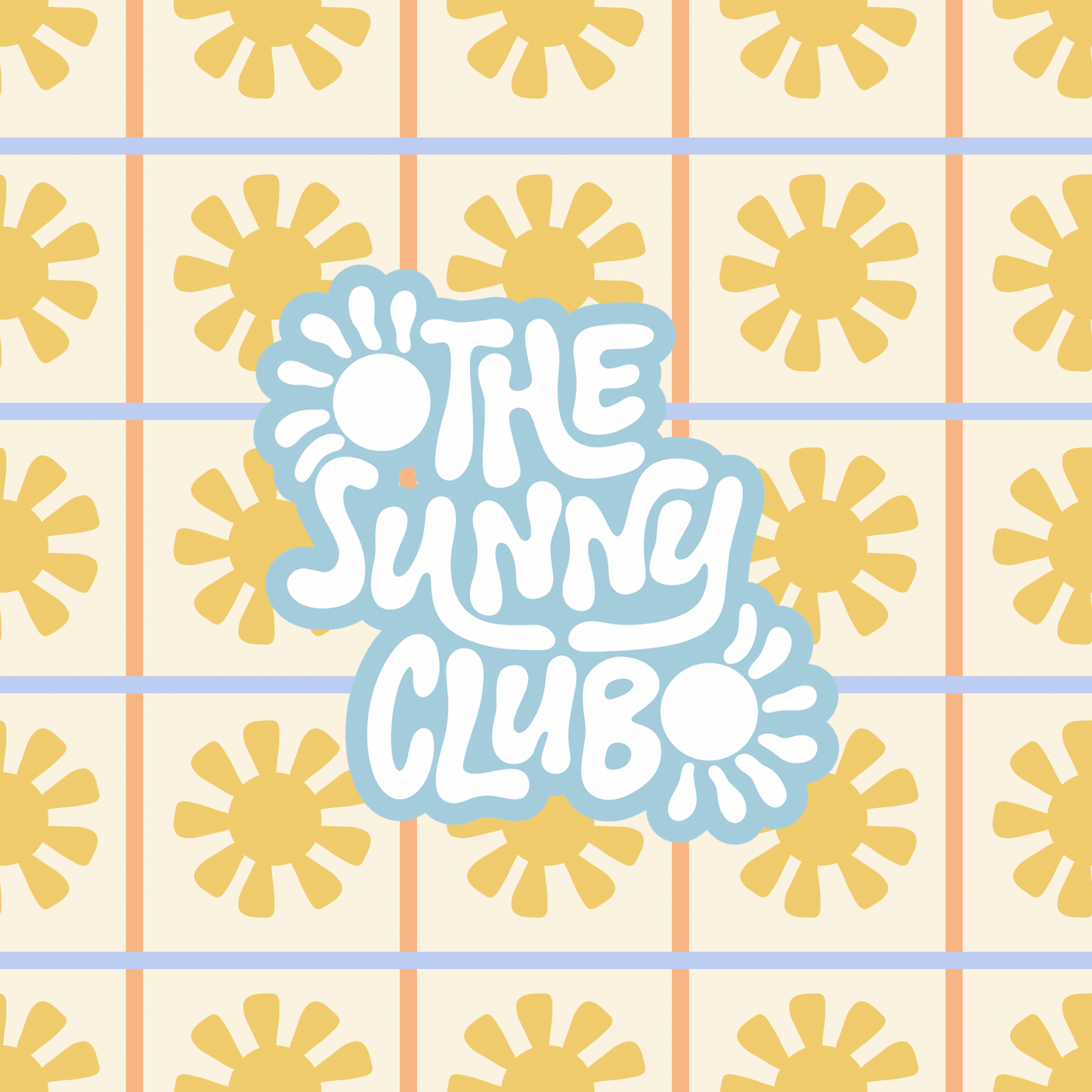 Funny Sunny Box